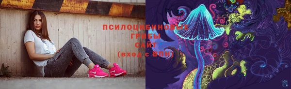 сатива Абинск