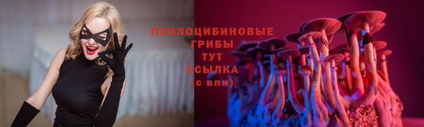 сатива Абинск