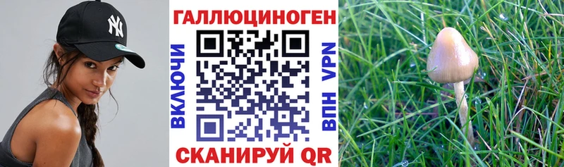 Псилоцибиновые грибы Magic Shrooms  Серпухов 