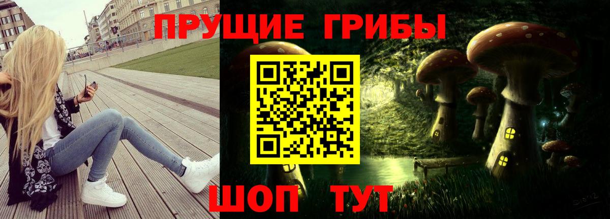 Псилоцибиновые грибы мицелий Серпухов